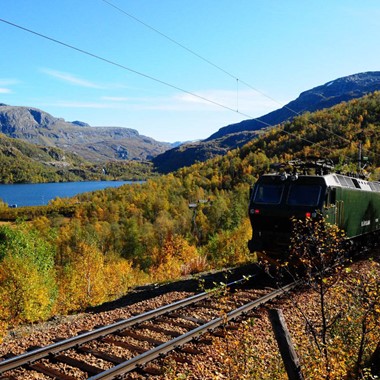 Otoño en el tren de Flåm, Noruega