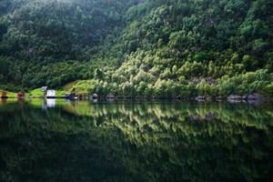 Spiegelglänzender Fjord - Fjordkreuzfahrt nach Mostraumen von Bergen, Norwegen