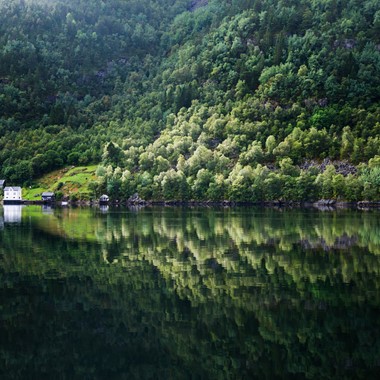 Speilblank fjord - Fjordcruise til Mostraumen fra Bergen