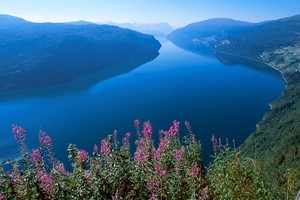 Wunderschönen Nordfjord - Fjord Norwegen