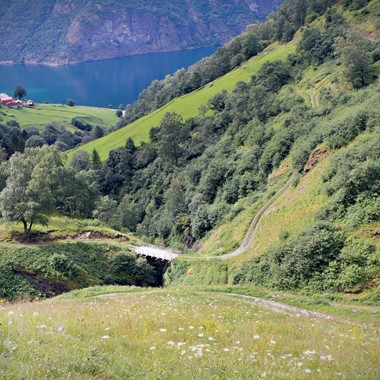 Ziegenfarm Leim - Wanderung und Fjordsafari zur Ziegenfarm Leim - Flåm, Norwegen